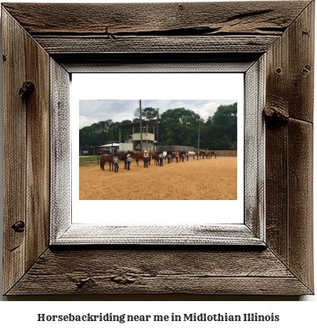 horseback riding near me in Midlothian, Illinois